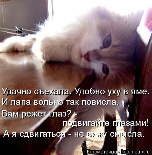 Удачно съехала. Удобно уху в яме. И лапа вольно так повисла. подвигайте глазами! А я сдвигаться - не ... Котоматрица: Удачно съехала. Удобно уху в яме. И лапа вольно так повисла. подвигайте глазами! А я сдвигаться - не вижу смысла. Вам режет глаз? -