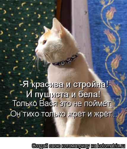 -Я красива и стройна! И пушиста и бела! Только Вася это не поймёт. Он тихо только жрёт и жрёт...... Котоматрица: -Я красива и стройна! И пушиста и бела! Только Вася это не поймёт. Он тихо только жрёт и жрёт...