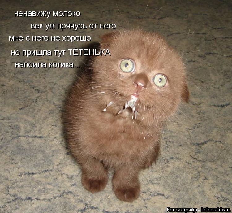 ненавижу молоко век уж прячусь от него мне с него не хорошо но пришла тут ТЁТЕНЬКА напоила котика...... Котоматрица: ненавижу молоко век уж прячусь от него мне с него не хорошо но пришла тут ТЁТЕНЬКА напоила котика...