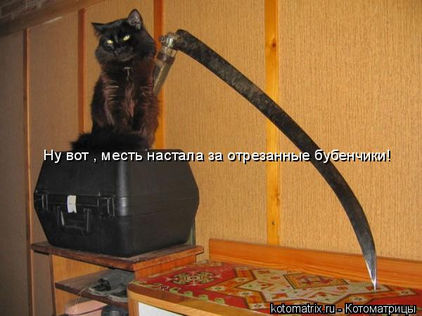 Ну вот , месть настала за отрезанные бубенчики!... Котоматрица: Ну вот , месть настала за отрезанные бубенчики!