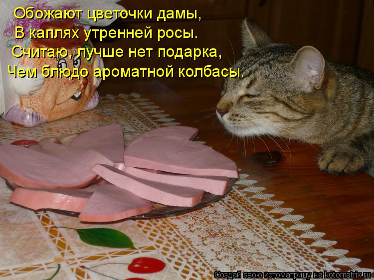 Обожают цветочки дамы, В каплях утренней росы. Считаю, лучше нет подарка, Чем блюдо ароматной колбасы... Котоматрица: Обожают цветочки дамы, В каплях утренней росы. Считаю, лучше нет подарка, Чем блюдо ароматной колбасы.