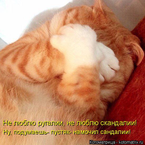 Не люблю ругалии, не люблю скандалии! Ну, подумаешь- пустяк- намочил сандалии!... Котоматрица: Не люблю ругалии, не люблю скандалии! Ну, подумаешь- пустяк- намочил сандалии!