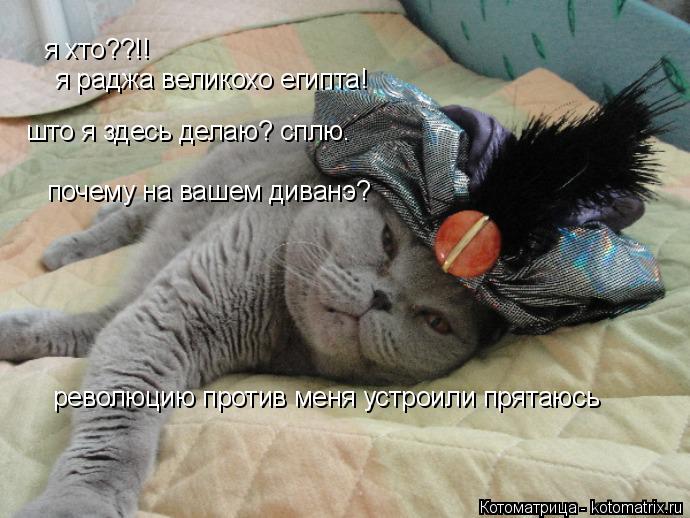 я хто??!! я раджа великохо египта! што я здесь делаю? сплю. почему на вашем диванэ? революцию против ... Котоматрица: я хто??!! я раджа великохо египта! што я здесь делаю? сплю. почему на вашем диванэ? революцию против меня устроили прятаюсь