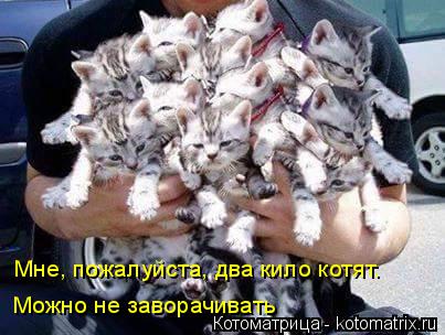 Мне, пожалуйста, два кило котят. Можно не заворачивать... Котоматрица: Мне, пожалуйста, два кило котят. Можно не заворачивать