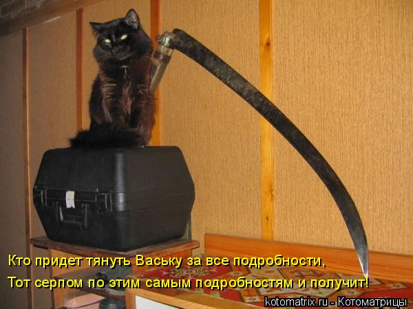 Кто придет тянуть Ваську за все подробности, Тот серпом по этим самым подробностям и получит!... Котоматрица: Кто придет тянуть Ваську за все подробности, Тот серпом по этим самым подробностям и получит!