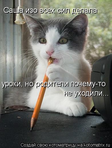 Котоматрица: Саша изо всех сил делала уроки, но родители почему-то не уходили...