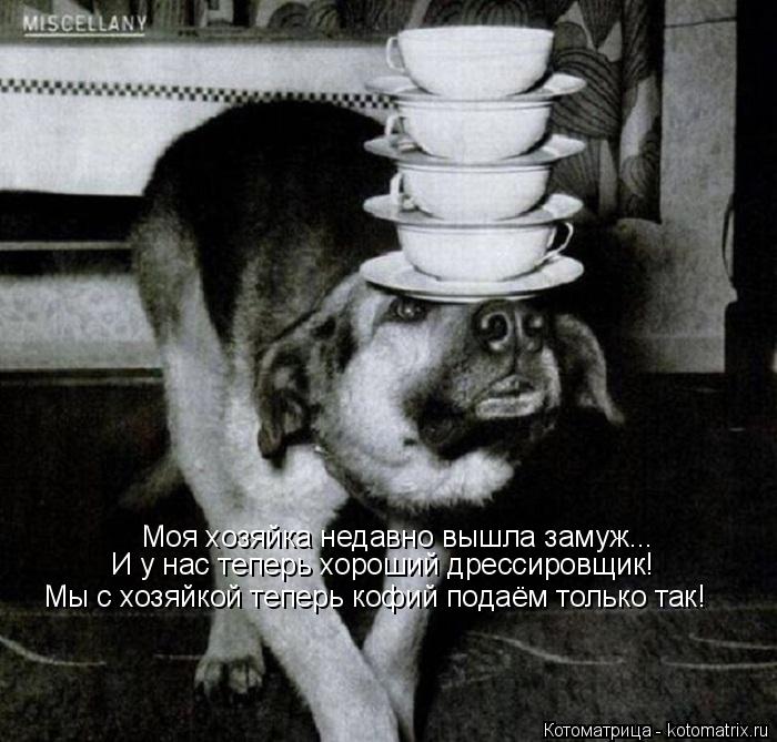 Моя хозяйка недавно вышла замуж... И у нас теперь хороший дрессировщик! Мы с хозяйкой теперь кофий по... Котоматрица: Моя хозяйка недавно вышла замуж... И у нас теперь хороший дрессировщик! Мы с хозяйкой теперь кофий подаём только так!