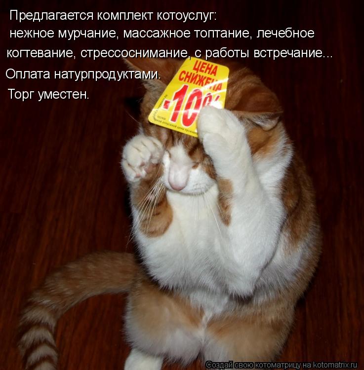 Предлагается комплект котоуслуг: нежное мурчание, массажное топтание, лечебное когтевание, стрессосни... Котоматрица: Предлагается комплект котоуслуг: нежное мурчание, массажное топтание, лечебное когтевание, стрессоснимание, с работы встречание... Оплата