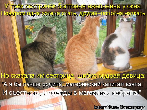 У трёх сестричек болтовня ежедневна у окна. Поваром одна хотела стать, другая–полотна наткать Но ска... Котоматрица: У трёх сестричек болтовня ежедневна у окна. Поваром одна хотела стать, другая–полотна наткать Но сказала им сестрица, шибко мудрая девица: