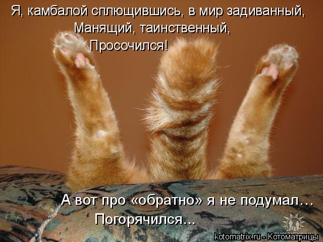 Котоматрица: Я, камбалой сплющившись, в мир задиванный, А вот про «обратно» я не подумал… Погорячился... Манящий, таинственный, Просочился!