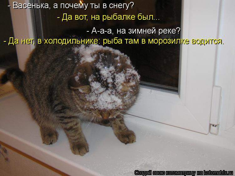 - Васенька, а почему ты в снегу? - Да вот, на рыбалке был... - А-а-а, на зимней реке? - Да нет, в хо... Котоматрица: - Васенька, а почему ты в снегу? - Да вот, на рыбалке был... - А-а-а, на зимней реке? - Да нет, в холодильнике: рыба там в морозилке водится.