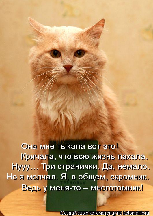 Она мне тыкала вот это! Кричала, что всю жизнь пахала. Нууу… Три странички. Да, немало. Но я молчал. ... Котоматрица: Она мне тыкала вот это! Кричала, что всю жизнь пахала. Нууу… Три странички. Да, немало. Но я молчал. Я, в общем, скромник. Ведь у меня-то – много