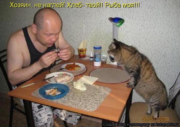 Хозяин, не наглей! Хлеб- твой!! Рыба моя!!!... Котоматрица: Хозяин, не наглей! Хлеб- твой!! Рыба моя!!!