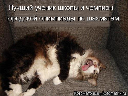 Котоматрица: Лучший ученик школы и чемпион городской олимпиады по шахматам.