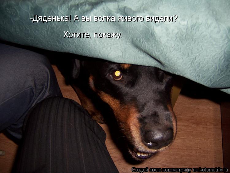 -Дяденька! А вы волка живого видели? Хотите, покажу.... Котоматрица: -Дяденька! А вы волка живого видели? Хотите, покажу.
