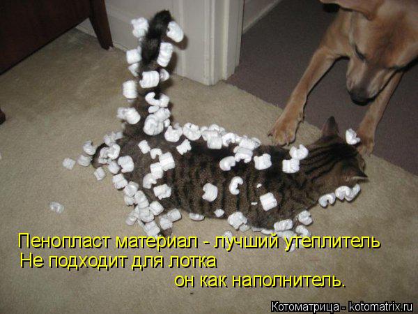 Пенопласт материал - лучший утеплитель Не подходит для лотка он как наполнитель.... Котоматрица: Пенопласт материал - лучший утеплитель Не подходит для лотка он как наполнитель.
