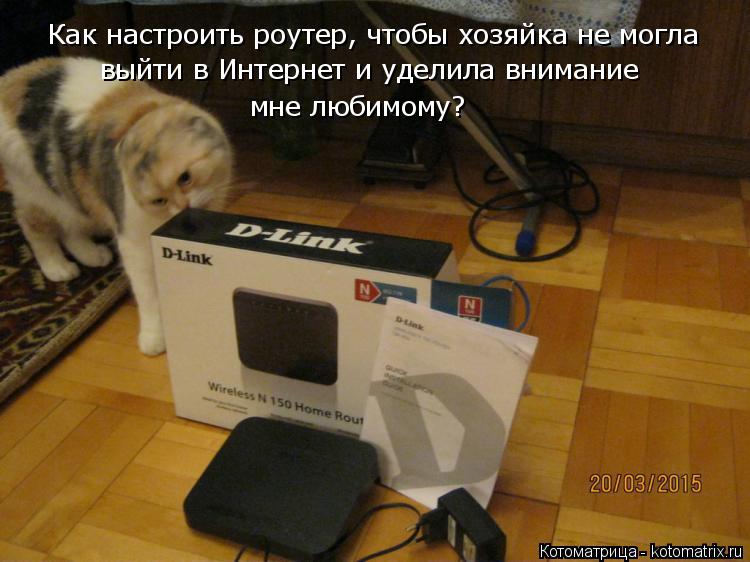 Котоматрица: Как настроить роутер, чтобы хозяйка не могла выйти в Интернет и уделила внимание мне любимому?
