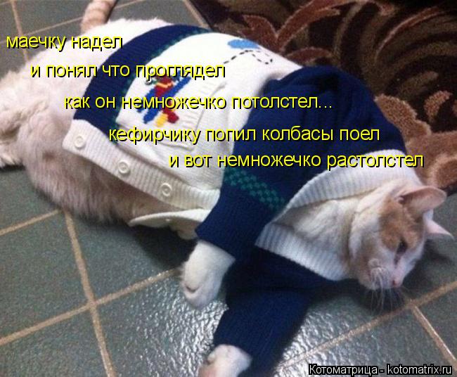 Котоматрица: маечку надел и понял что проглядел как он немножечко потолстел... кефирчику попил колбасы поел и вот немножечко растолстел