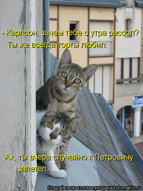 Котоматрица: - Карлсон, зачем тебе с утра рассол? Ты же всегда торты любил.     Ах, ты вчера случайно к Петровичу залетел…