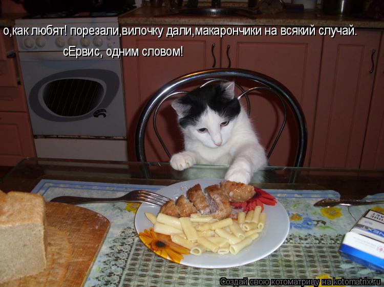 Котоматрица: о,как любят! порезали,вилочку дали,макарончики на всякий случай. сЕрвис, одним словом!