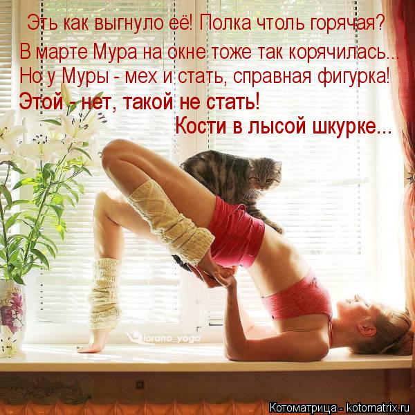 Эть как выгнуло её! Полка чтоль горячая? В марте Мура на окне тоже так корячилась... Этой - нет, тако... Котоматрица: Эть как выгнуло её! Полка чтоль горячая? В марте Мура на окне тоже так корячилась... Этой - нет, такой не стать! Кости в лысой шкурке... Но у Муры