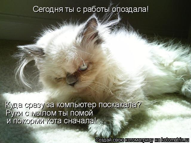 Котоматрица: Сегодня ты с работы опоздала! Куда сразу за компьютер поскакала? Руки с мылом ты помой и покорми кота сначала!