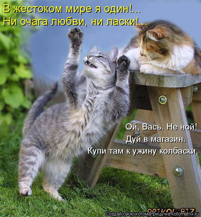 Котоматрица: В жестоком мире я один!... Ни очага любви, ни ласки!... Ой, Вась. Не ной!  Дуй в магазин. Купи там к ужину колбаски.