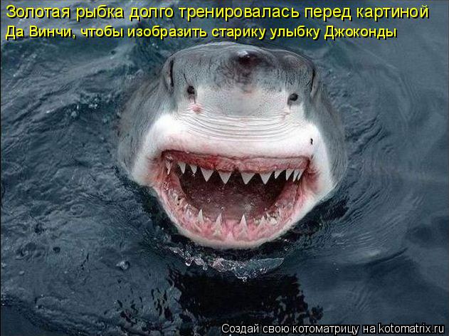 Котоматрица: Золотая рыбка долго тренировалась перед картиной  Да Винчи, чтобы изобразить старику улыбку Джоконды