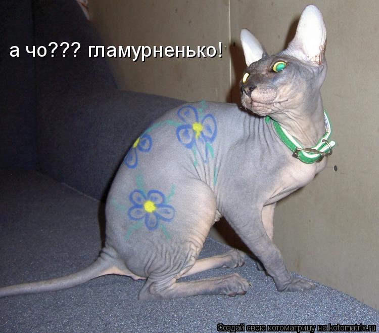 Котоматрица: а чо??? гламурненько!