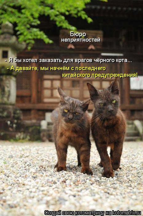 Котоматрица: Бюро неприятностей - Я бы хотел заказать для врагов чёрного кота...  - А давайте, мы начнём с последнего  китайского предупреждения!