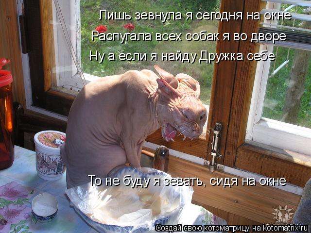 Лишь зевнула я сегодня на окне Распугала всех собак я во дворе Ну а если я найду Дружка себе То не бу... Котоматрица: Лишь зевнула я сегодня на окне Распугала всех собак я во дворе Ну а если я найду Дружка себе То не буду я зевать, сидя на окне