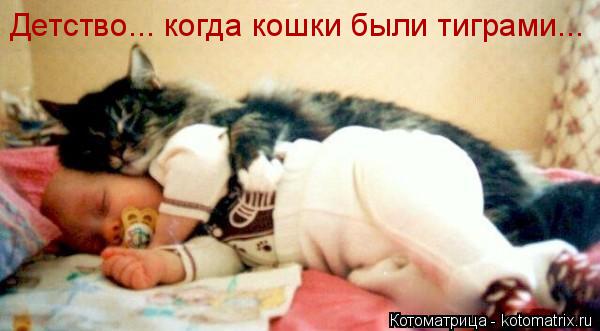 Котоматрица: Детство... когда кошки были тиграми...