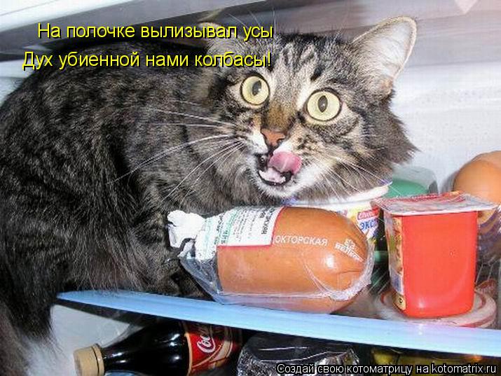 Котоматрица: На полочке вылизывал усы Дух убиенной нами колбасы!