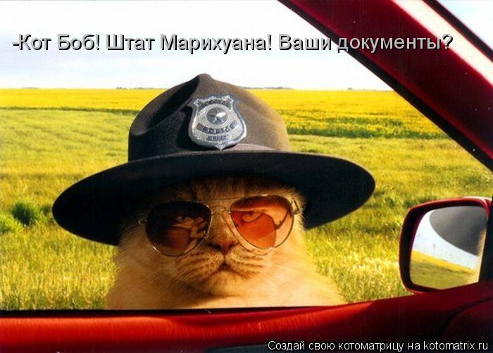 Котоматрица: -Кот Боб! Штат Марихуана! Ваши документы?