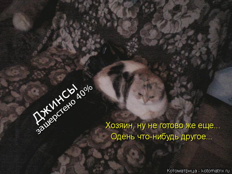 Котоматрица: Джинсы зашерстено 40% Хозяин, ну не готово же еще... Одень что-нибудь другое...