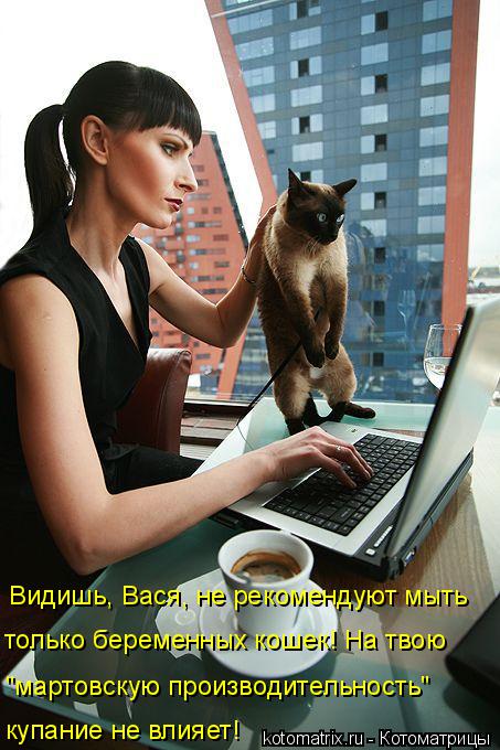 Котоматрица: Видишь, Вася, не рекомендуют мыть только беременных кошек! На твою "мартовскую производительность"   купание не влияет!