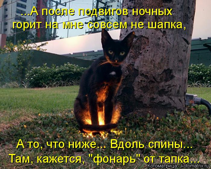 ...А после подвигов ночных горит на мне совсем не шапка, А то, что ниже... Вдоль спины... Там, кажетс... Котоматрица: ...А после подвигов ночных горит на мне совсем не шапка, А то, что ниже... Вдоль спины... Там, кажется, "фонарь" от тапка...