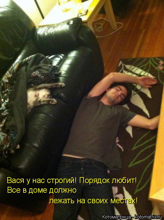 Котоматрица: Вася у нас строгий! Порядок любит! Все в доме должно  лежать на своих местах!