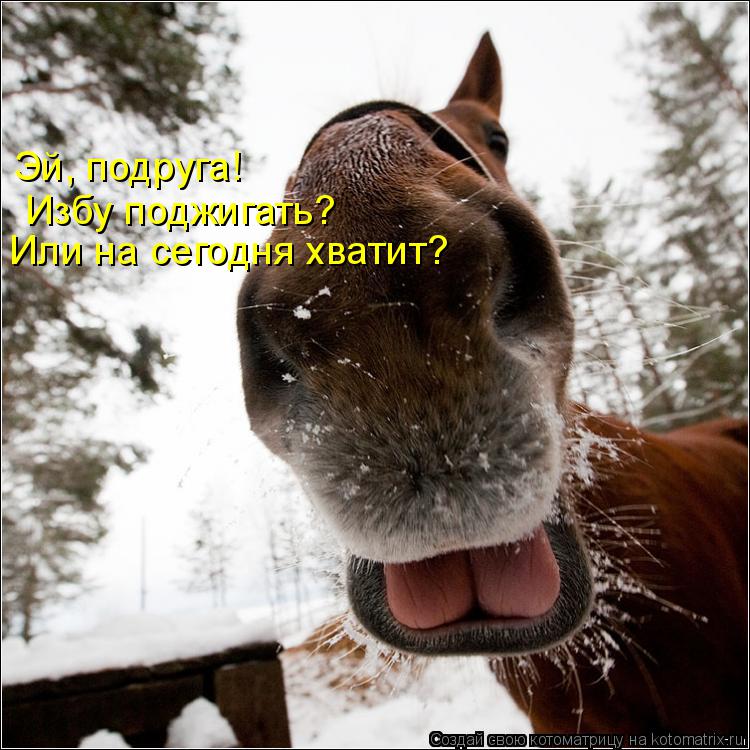 Котоматрица: Или на сегодня хватит? Избу поджигать? Эй, подруга!