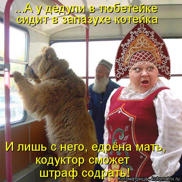 Котоматрица: сидит в запазухе котейка штраф содрать! И лишь с него, едрёна мать, кодуктор сможет ...А у дедули в тюбетейке
