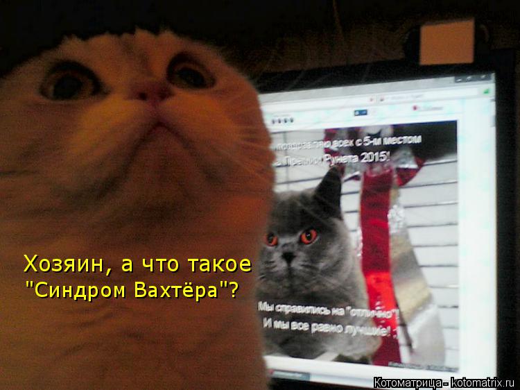 Котоматрица: Хозяин, а что такое "Синдром Вахтёра"?