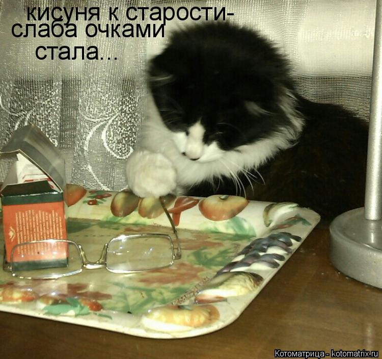кисуня к старости- слаба очками стала...... Котоматрица: кисуня к старости- слаба очками стала...