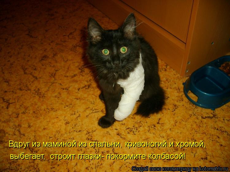 Котоматрица: Вдруг из маминой из спальни, кривоногий и хромой, выбегает,  строит глазки- покормите колбасой!