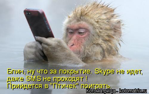 Котоматрица: Блин, ну что за покрытие. Skype не идет, даже SMS не проходят ! Прийдется в "Птичек" поиграть.