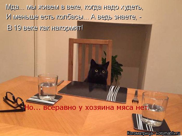 Котоматрица: Мда... мы живем в веке, когда надо худеть,  И меньше есть колбасы... А ведь знаете, - В 19 веке как накормят! Но... всеравно у хозяина мяса нет.