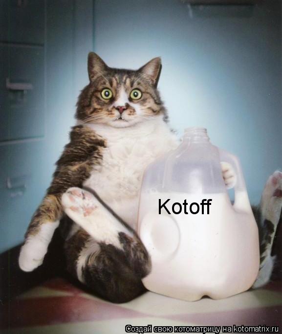 Котоматрица: Kotoff