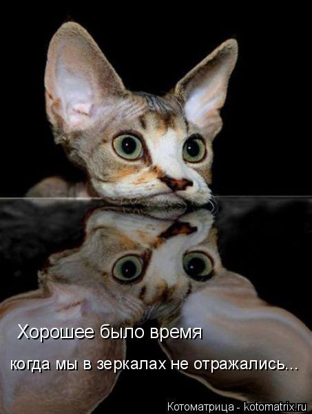 Котоматрица: Хорошее было время когда мы в зеркалах не отражались...
