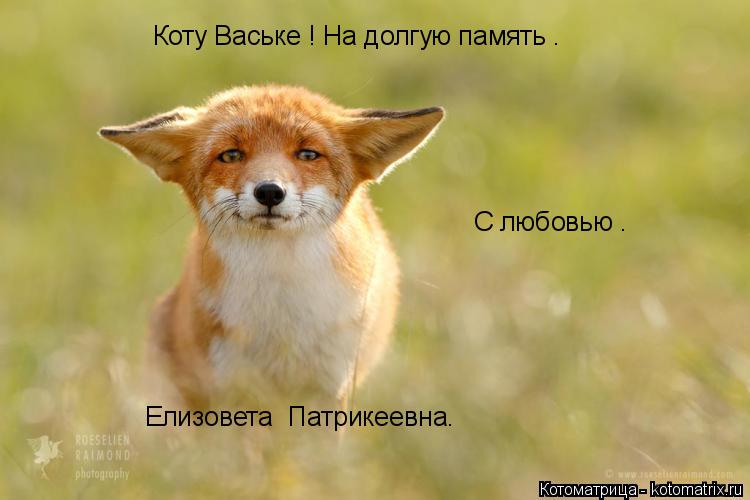 Котоматрица: Коту Ваське ! На долгую память . Елизовета  Патрикеевна. С любовью .