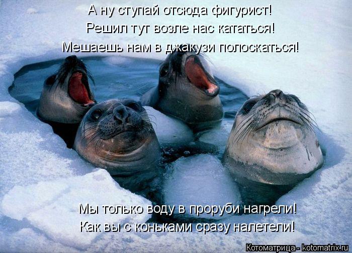А ну ступай отсюда фигурист! Решил тут возле нас кататься! Мы только воду в проруби нагрели! Как вы с... Котоматрица: А ну ступай отсюда фигурист! Решил тут возле нас кататься! Мы только воду в проруби нагрели! Как вы с коньками сразу налетели! Мешаешь нам в д