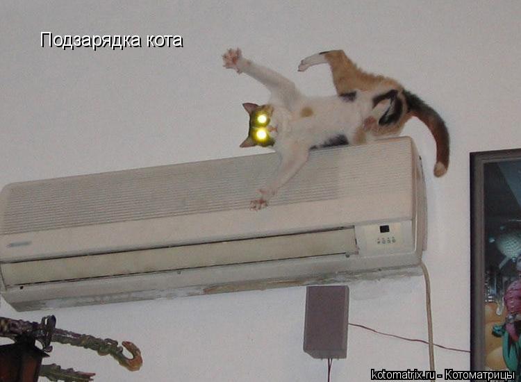Котоматрица: Подзарядка кота